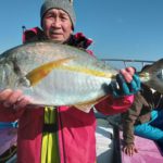 【午前】シマアジ