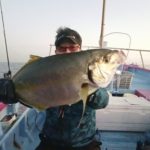 【午後】シマアジ