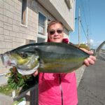 【午前】シマアジ